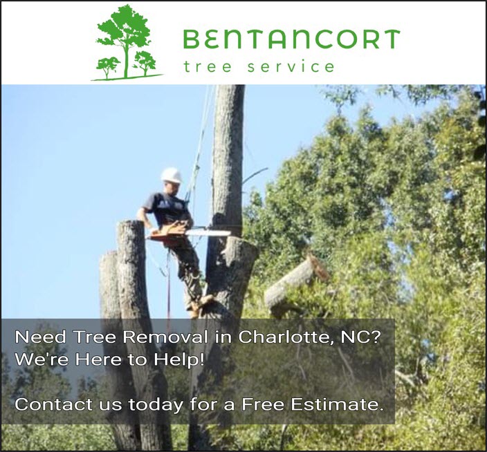charlotte-tree-removal-free-estimate